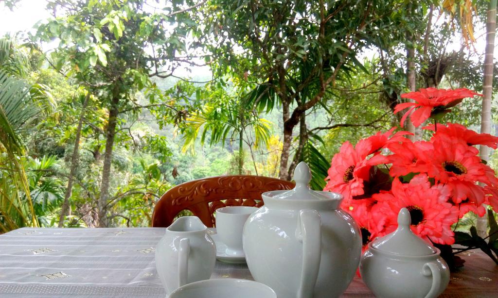 Aroma Heaven Homestay إيلا المظهر الخارجي الصورة