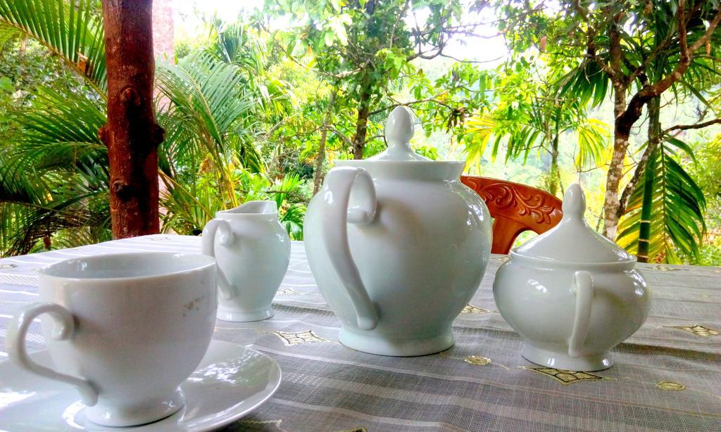 Aroma Heaven Homestay إيلا المظهر الخارجي الصورة